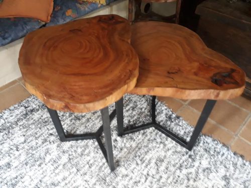 MESA DE TRONCO E RAIZ DE ÁRVORE-036