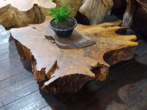 Mesa de centro em raiz de peroba